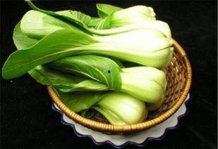 灰瓜能做什么菜吃呢视频,解锁多种美味佳肴的秘诀