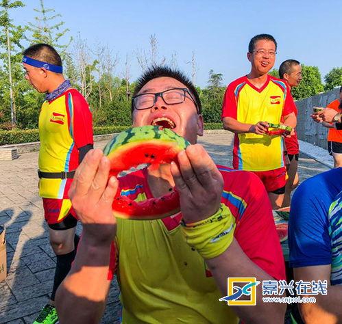 pvz吃瓜大赛视频,一场欢乐与智慧的较量