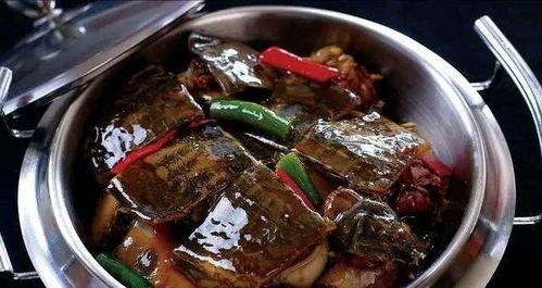 刘大瓜吃烤甲鱼视频,美味诱惑尽在眼前