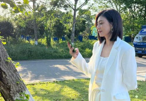 浪姐陈意涵吃瓜视频大全,揭秘娱乐圈幕后故事