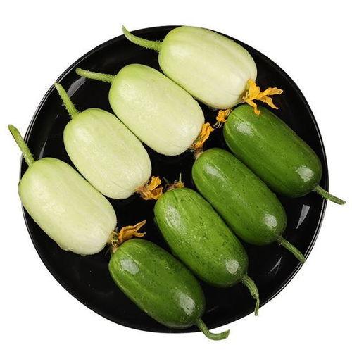 吃瓜圆怎么弄才好吃视频,吃瓜圆制作秘籍大公开