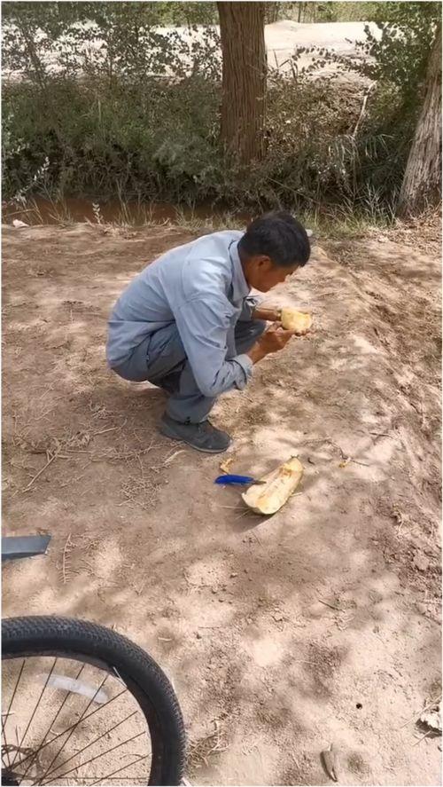 伽师最新吃瓜视频