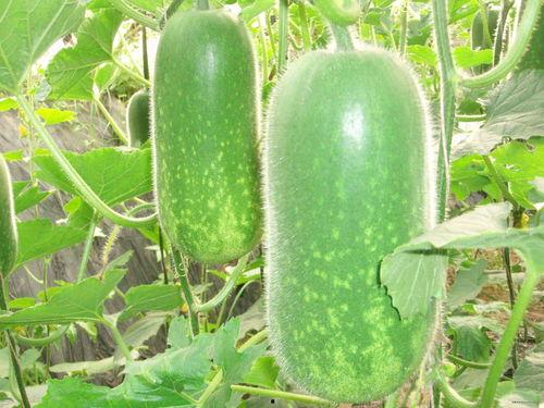 吃瓜51视频线路一,一生精彩瞬间回顾