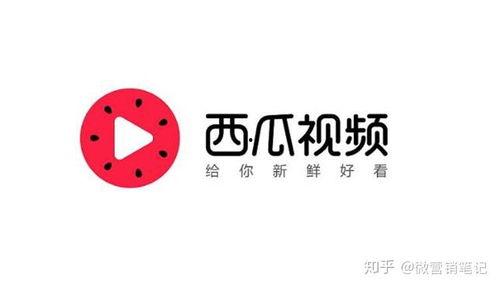 娱你吃瓜鸭西瓜视频,揭秘娱乐圈那些不为人知的幕后故事