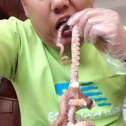 瓜哥吃八爪鱼视频大全