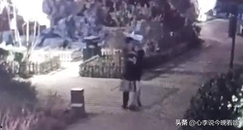 打卡吃瓜视频完整版,揭秘热门视频背后的真实故事