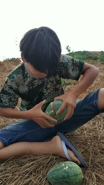 田间吃瓜拍照姿势视频,解锁夏日田园拍照新姿势