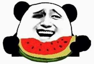 朝阳吃瓜群众今日吃瓜视频,今日热门吃瓜视频揭秘