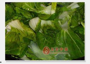 吃瓜萝卜青菜完整视频,揭秘美食背后的故事与魅力